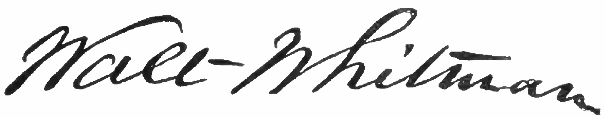 signiture